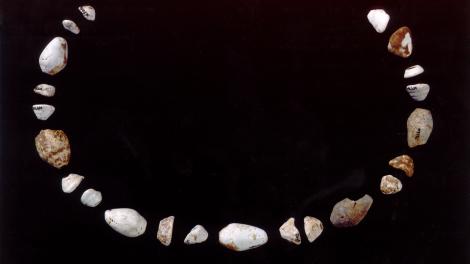 A set of shell beads arranged in a manner that resembles a necklace
